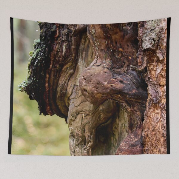 Item preview, The troll 1 designed and sold by Jouko Lehto Photography.