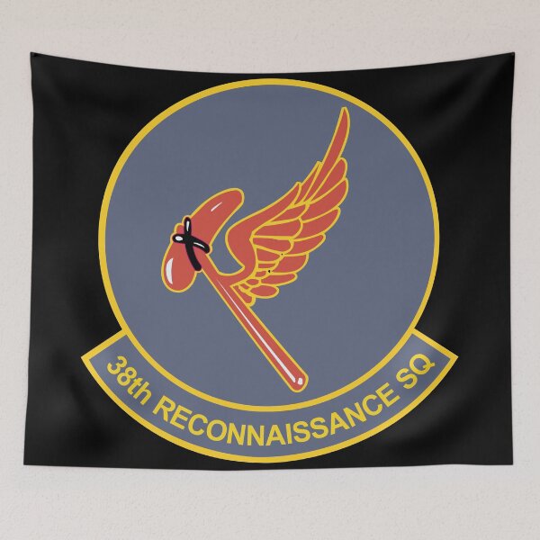 Item preview, AAC - 38th Reconnaissance Squadron - WWII wo Txt X 300 designed and sold by Military Insignia Products.