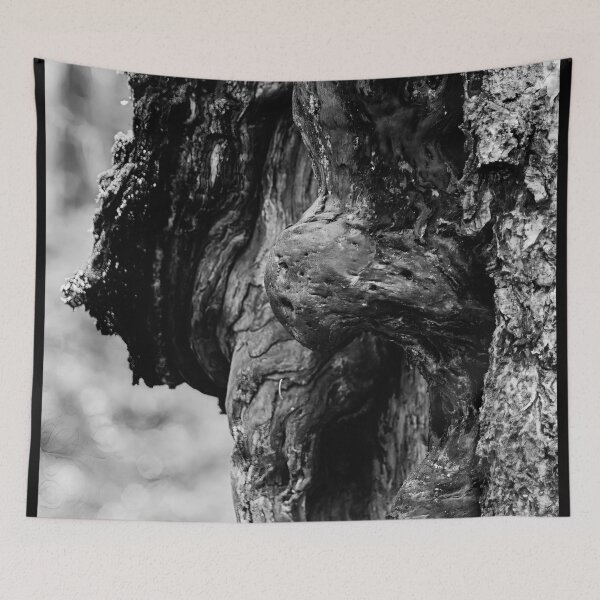 Item preview, The troll 3 bw designed and sold by Jouko Lehto Photography.