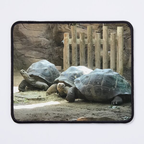 Item preview, Giant Tortoises  designed and sold by Sandcastles27.