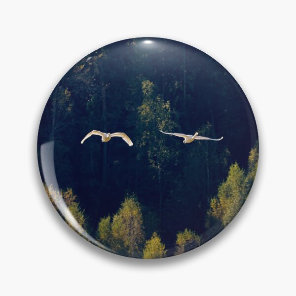 Item preview, Flying over the autumn forest. Whooper swan designed and sold by Jouko Lehto Photography.