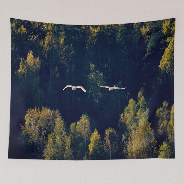 Item preview, Flying over the autumn forest. Whooper swan designed and sold by Jouko Lehto Photography.