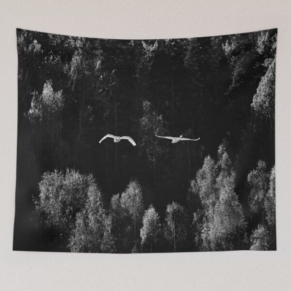 Item preview, Flying over the autumn forest. Whooper swan bw designed and sold by Jouko Lehto Photography.
