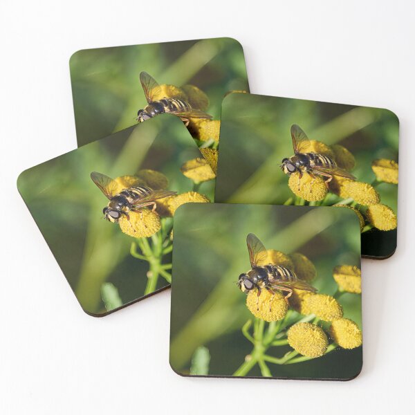 Item preview, Stand by. Bog Hoverfly designed and sold by Jouko Lehto Photography.