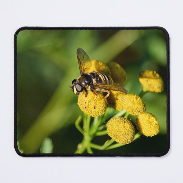 Item preview, Stand by. Bog Hoverfly designed and sold by Jouko Lehto Photography.