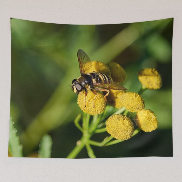 Item preview, Stand by. Bog Hoverfly designed and sold by Jouko Lehto Photography.