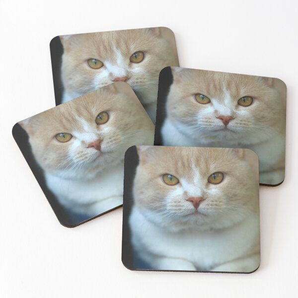 Item preview, Portrait of cute red cat designed and sold by olena2552.