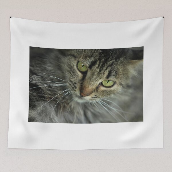 Item preview, Portrait of cute grey cat designed and sold by olena2552.