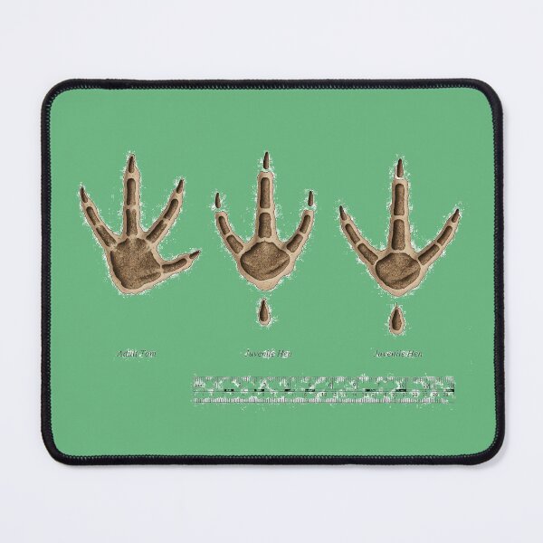 Item preview, Turkey footprints of the sexes. designed and sold by Byoudesigns.