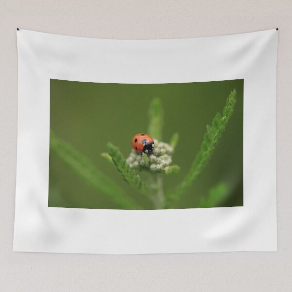Item preview, Red ladybug sitting on plant designed and sold by olena2552.