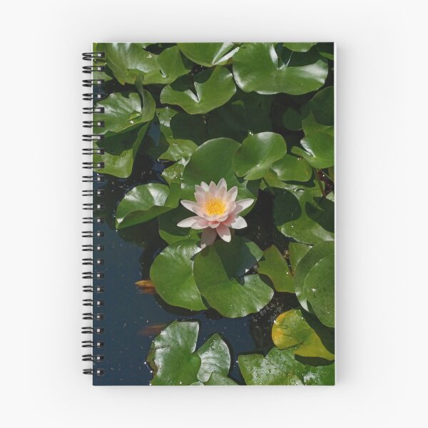 Item preview, Water Lily in Park Guell designed and sold by VmSketches.