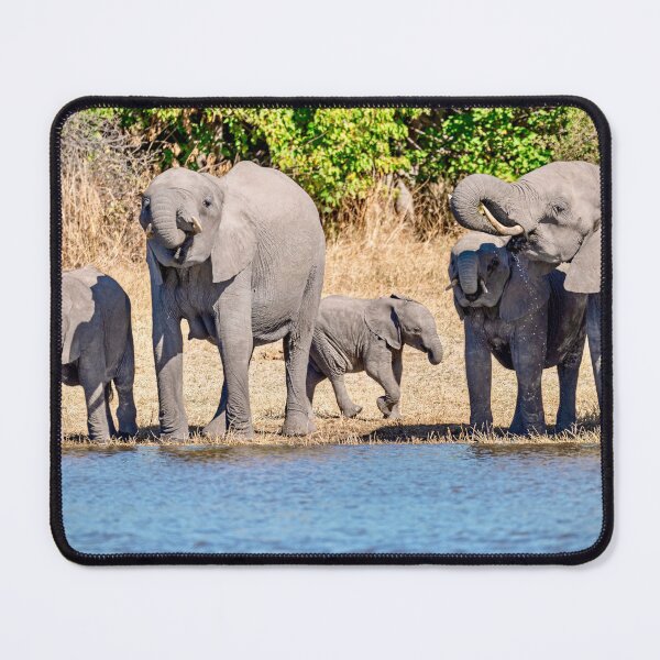 Item preview, Khwai Elephant Nursery At The Rivers Edge designed and sold by DavideAntoniani.