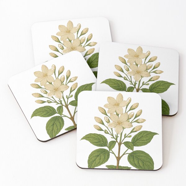 Item preview, Vintage Jasmine - Botanical Illustration background removed designed and sold by Then & Now Flora.