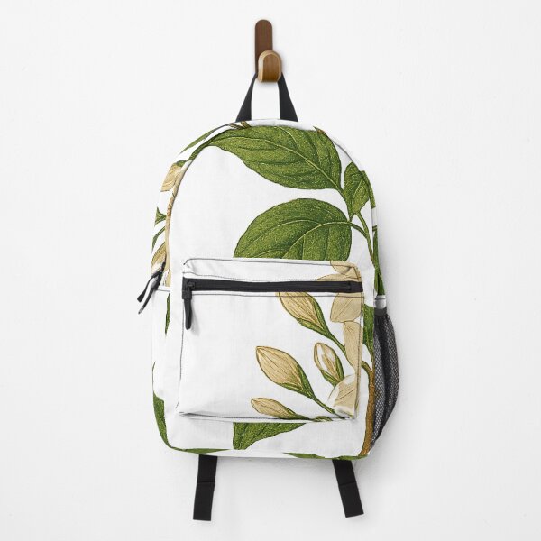 Item preview, Vintage Jasmine - Botanical Illustration background removed designed and sold by Then & Now Flora.