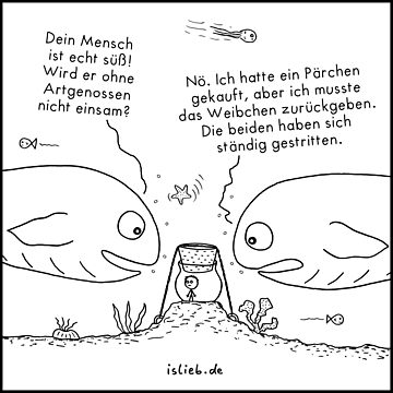 Vorschaubild zum Design Meermensch islieb Cartoon von islieb