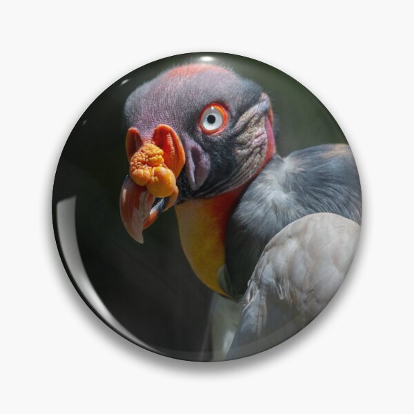 Item preview, King Vulture Portrait designed and sold by Polky Art.