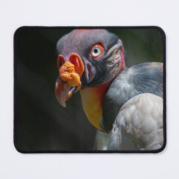 Item preview, King Vulture Portrait designed and sold by Polky Art.