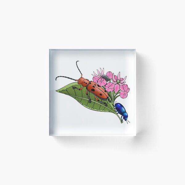 Item preview, Milkweed Friends Sticker designed and sold by EllaAndGoldfish.