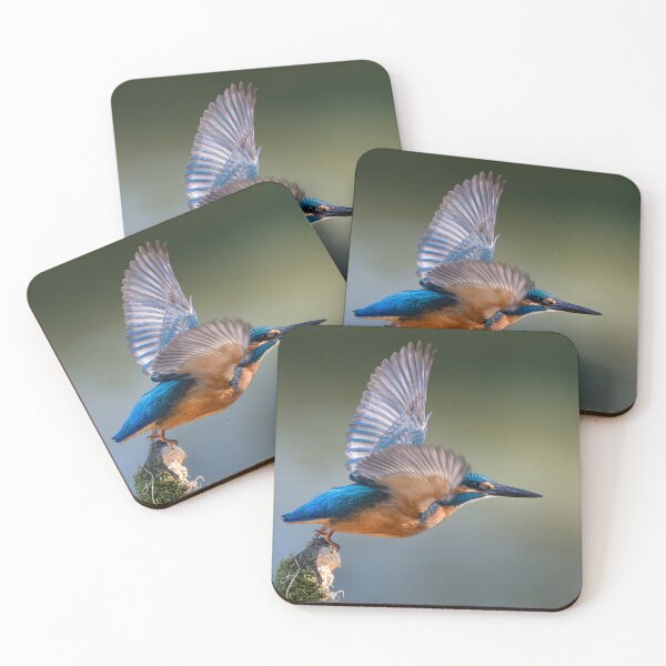 Item preview, Common Kingfisher Takeoff - Winter Light on Silver Wings designed and sold by I AM BRO.