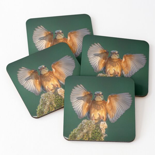 Item preview, Common Kingfisher (Alcedo atthis) Landing - Wings Spread Wildlife Photo designed and sold by I AM BRO.