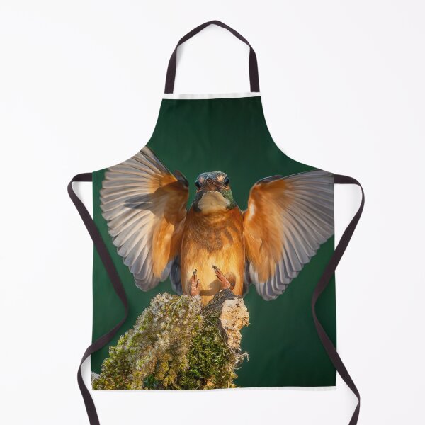 Item preview, Common Kingfisher (Alcedo atthis) Landing - Wings Spread Wildlife Photo designed and sold by I AM BRO.