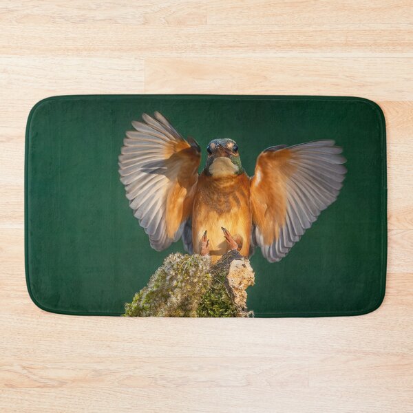 Item preview, Common Kingfisher (Alcedo atthis) Landing - Wings Spread Wildlife Photo designed and sold by I AM BRO.
