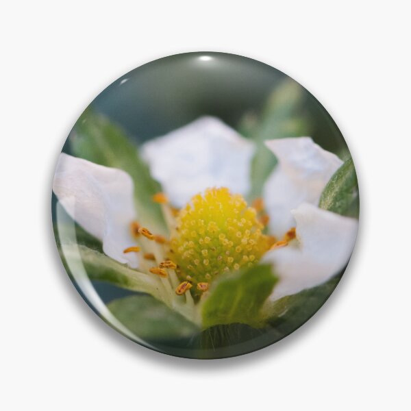 Item preview, The promise of sweetness designed and sold by Shutter, Stitch, and Swirl.
