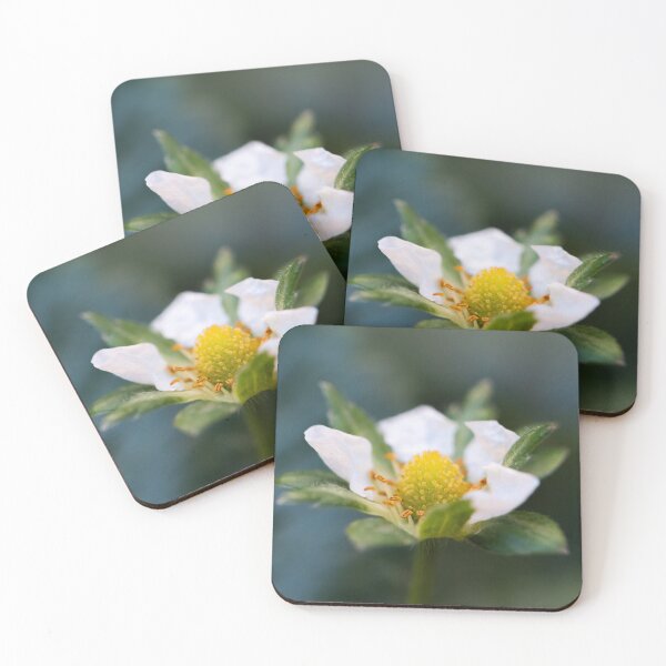 Item preview, The promise of sweetness designed and sold by Shutter, Stitch, and Swirl.