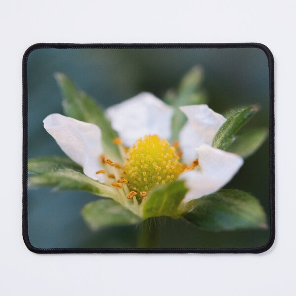 Item preview, The promise of sweetness designed and sold by Shutter, Stitch, and Swirl.