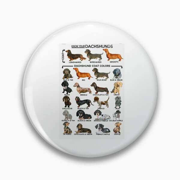 Item preview, Know Your Dachshunds designed and sold by Stephen Chambers.