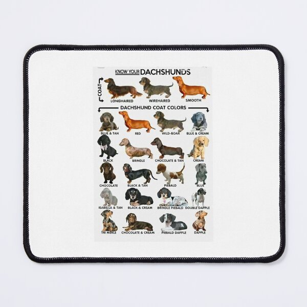 Item preview, Know Your Dachshunds designed and sold by Stephen Chambers.