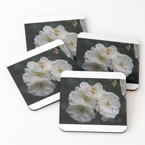 Item preview, Four wild white roses designed and sold by lpphotographe.