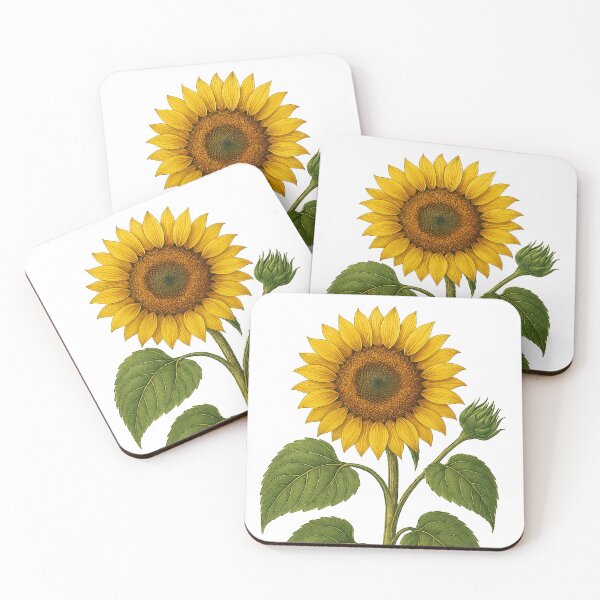Item preview, Vintage Sunflower Botanical Art - background removed designed and sold by Then & Now Flora.