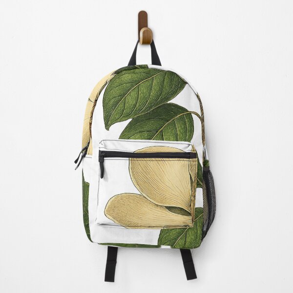Item preview, Vintage White Magnolia Botanical Art - background removed designed and sold by Then & Now Flora.