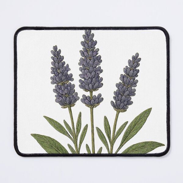 Item preview, Vintage Lavender Botanical Print - background removed designed and sold by Then & Now Flora.