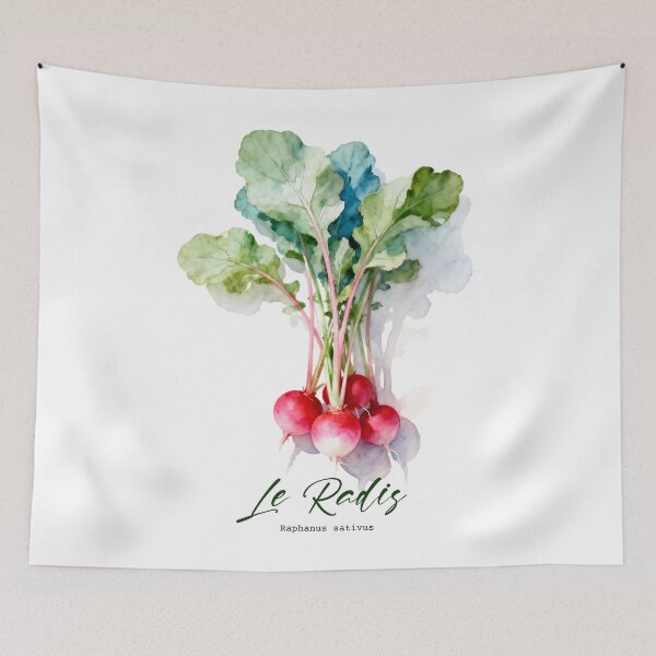 Item preview, Le Radis (Radish) – French Botanical Watercolor Art for Gardeners & Francophiles designed and sold by FrancophileFun.