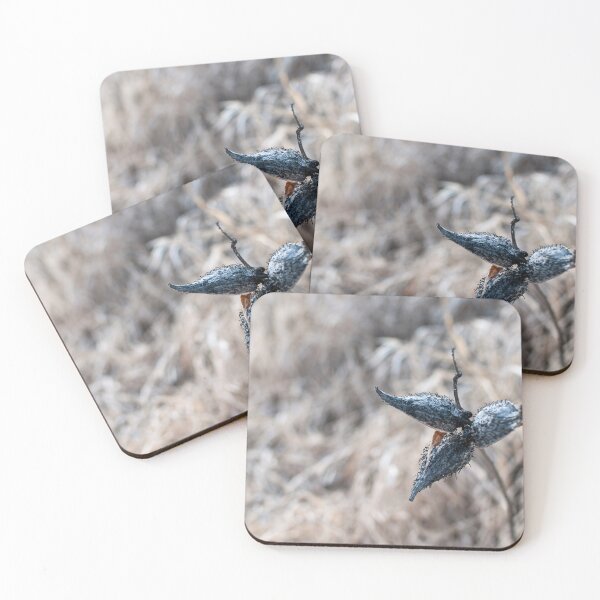 Item preview, Milkweed designed and sold by spokospoko.