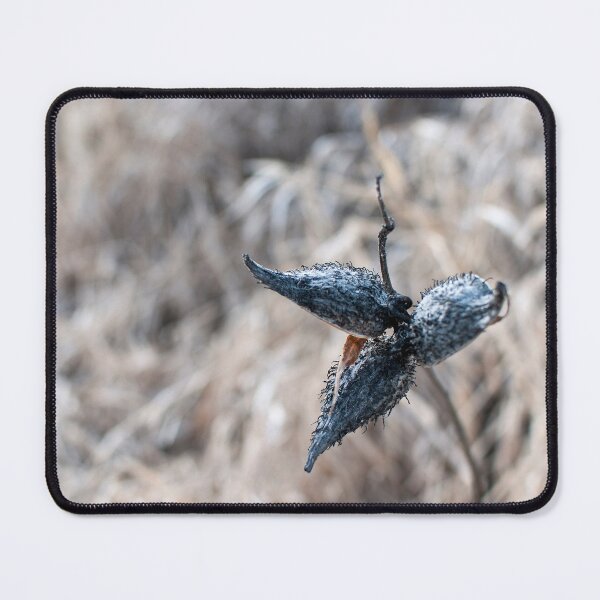 Item preview, Milkweed designed and sold by spokospoko.