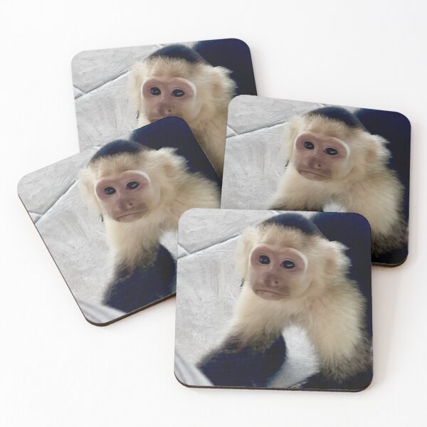 Item preview, Capuchin monkey. designed and sold by Lourdie5.