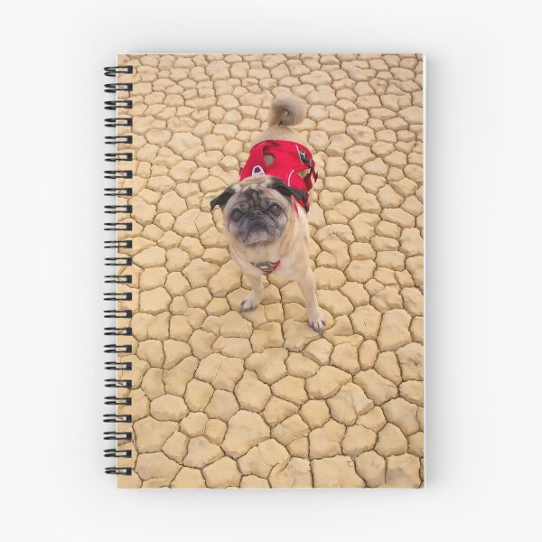Item preview, Wrinkles of a Pug Stacked on Cracks designed and sold by pugventurephoto.