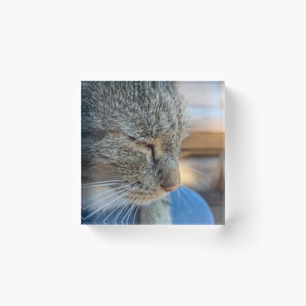 Item preview, Contentment designed and sold by Betsy Phillips.