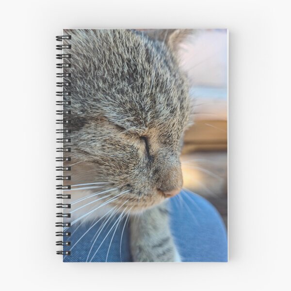 Item preview, Contentment designed and sold by Betsy Phillips.