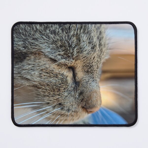 Item preview, Contentment designed and sold by Betsy Phillips.