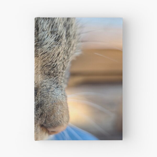Item preview, Contentment designed and sold by Betsy Phillips.