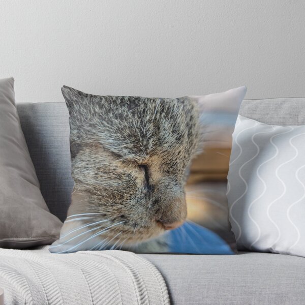 Item preview, Contentment designed and sold by Betsy Phillips.