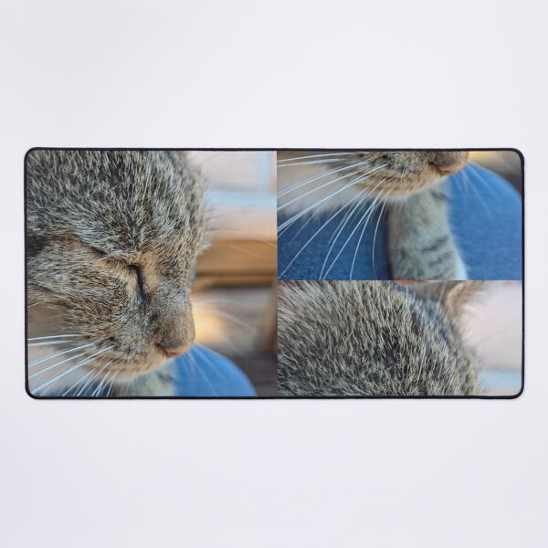 Item preview, Contentment designed and sold by Betsy Phillips.
