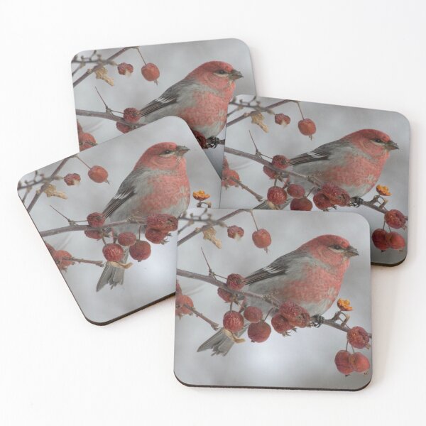 Item preview, Pine Grosbeak in Door County WI designed and sold by Erin LeFevre-Josephs.