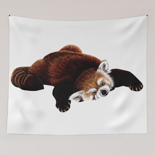 Item preview, Red panda sleeping designed and sold by LorenDowding.