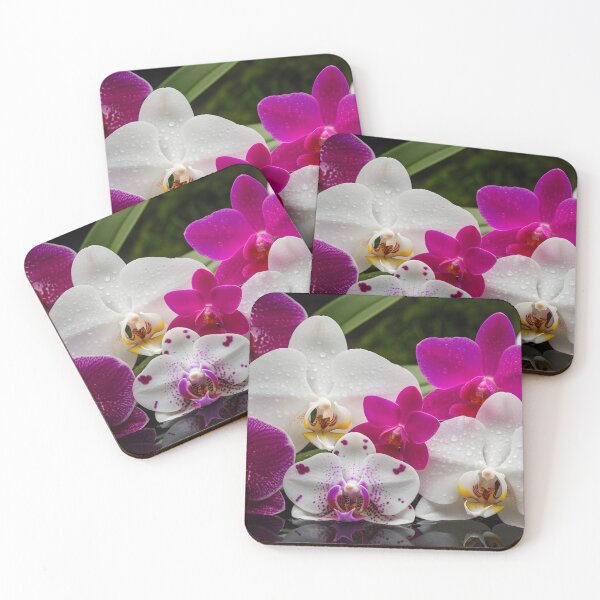 Item preview, Poster orchid designed and sold by RadiantGraphics.