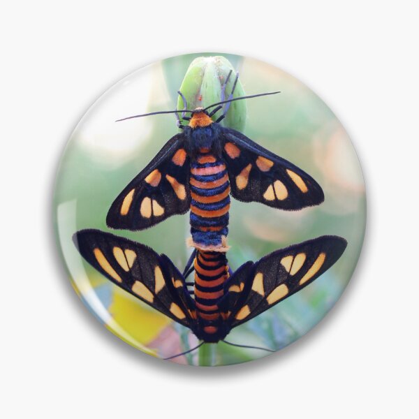 Item preview, Autumn Tiger Moths designed and sold by Siene Browne.